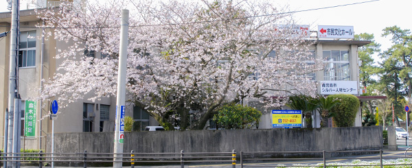 公益社団法人鹿児島市シルバー人材センター